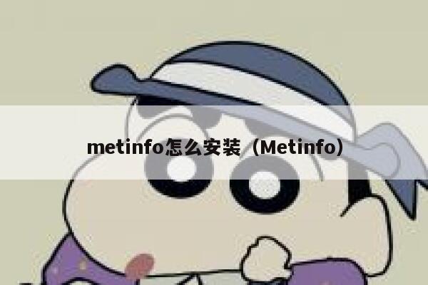 metinfo怎么安装（Metinfo）