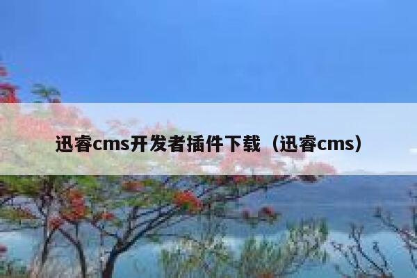 迅睿cms开发者插件下载（迅睿cms）