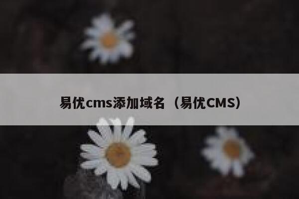 易优cms添加域名（易优CMS）