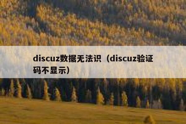 discuz数据无法识（discuz验证码不显示）