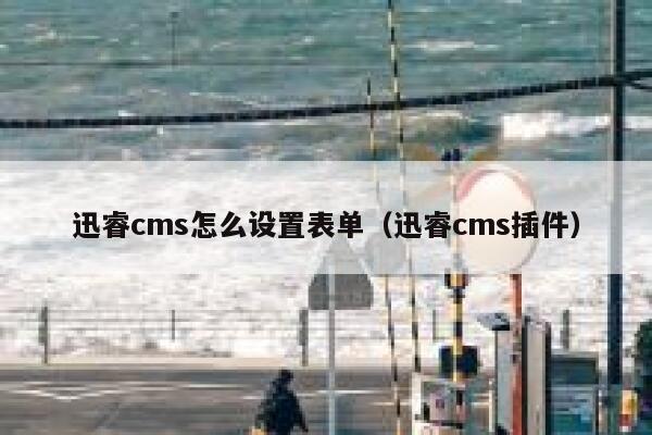 迅睿cms怎么设置表单（迅睿cms插件）