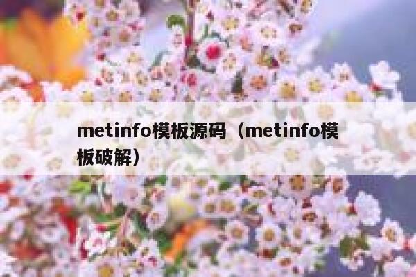 metinfo模板源码（metinfo模板破解）