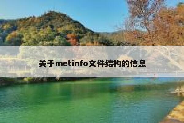 关于metinfo文件结构的信息