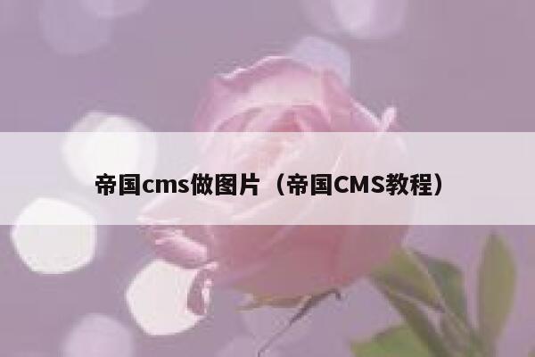 帝国cms做图片（帝国CMS教程）