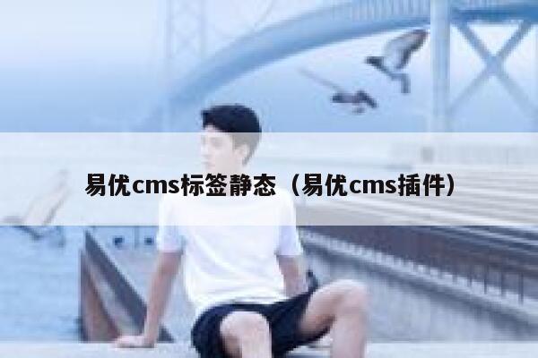 易优cms标签静态（易优cms插件）