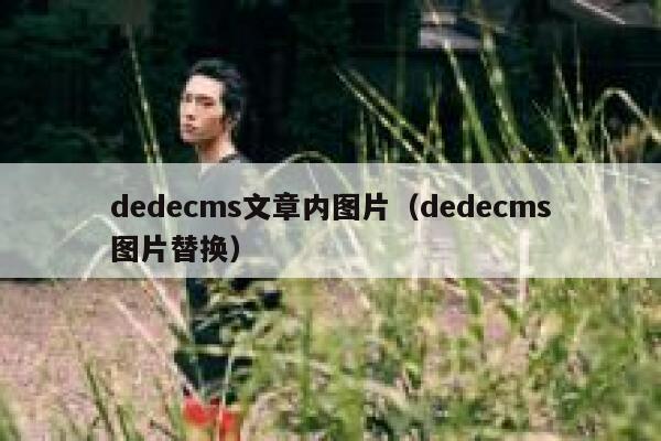 dedecms文章内图片（dedecms图片替换）