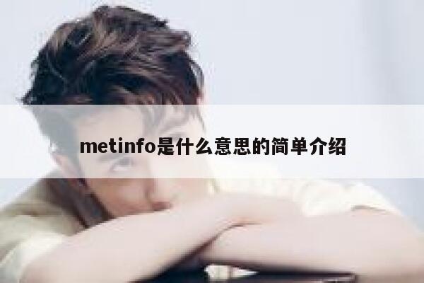 metinfo是什么意思的简单介绍 第1张