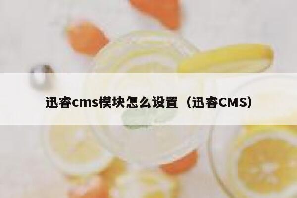 迅睿cms模块怎么设置（迅睿CMS）