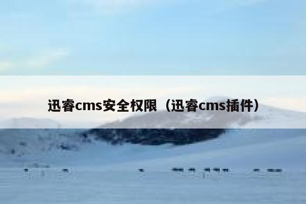 迅睿cms安全权限（迅睿cms插件）