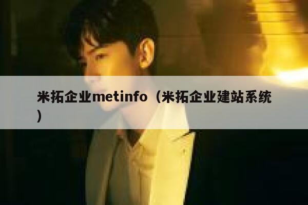 米拓企业metinfo（米拓企业建站系统）