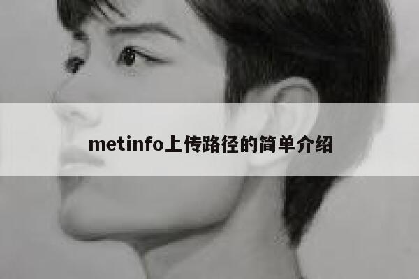 metinfo上传路径的简单介绍