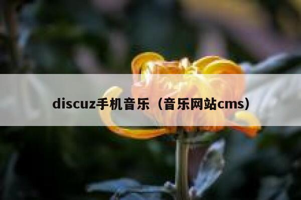 discuz手机音乐（音乐网站cms）