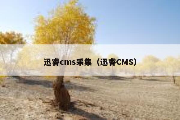 迅睿cms采集（迅睿CMS）