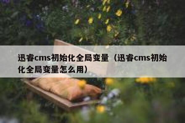 迅睿cms初始化全局变量（迅睿cms初始化全局变量怎么用）