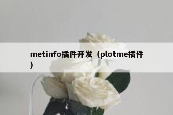 metinfo插件开发（plotme插件）