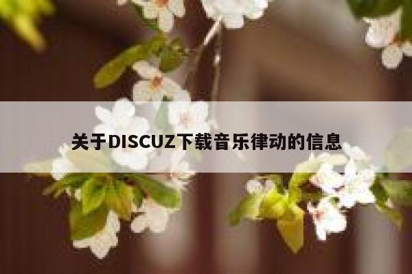 关于DISCUZ下载音乐律动的信息