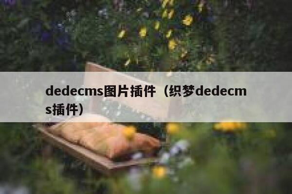 dedecms图片插件（织梦dedecms插件）