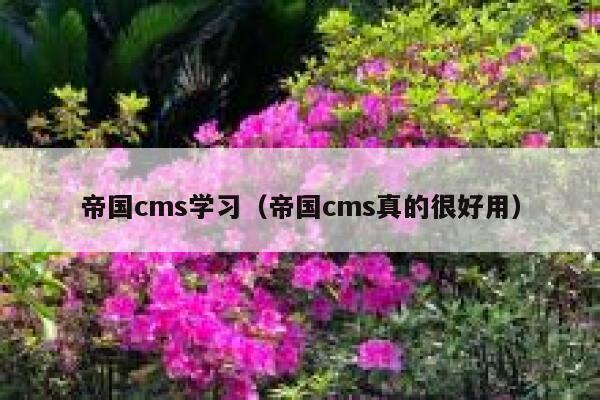 帝国cms学习（帝国cms真的很好用）