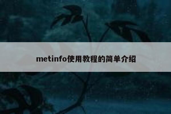 metinfo使用教程的简单介绍