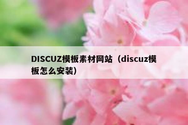 DISCUZ模板素材网站（discuz模板怎么安装）