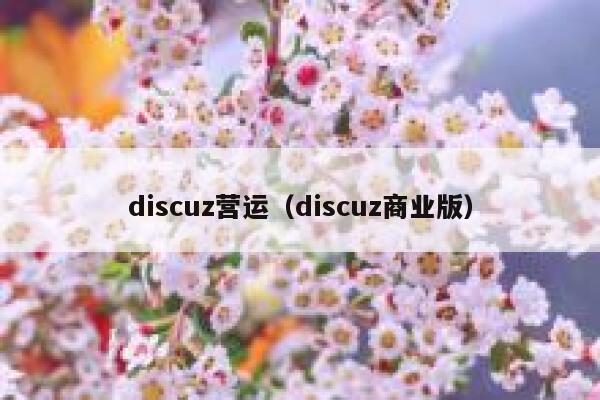 discuz营运（discuz商业版）