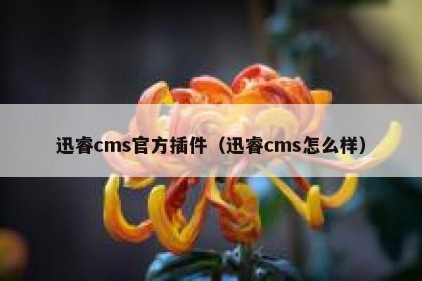 迅睿cms官方插件（迅睿cms怎么样）