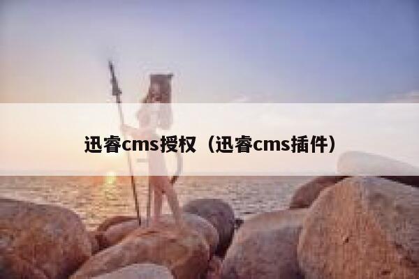 迅睿cms授权（迅睿cms插件）