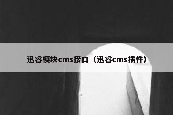 迅睿模块cms接口（迅睿cms插件）