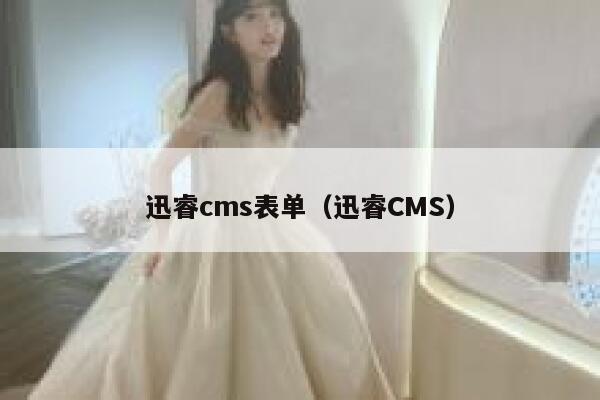 迅睿cms表单（迅睿CMS）