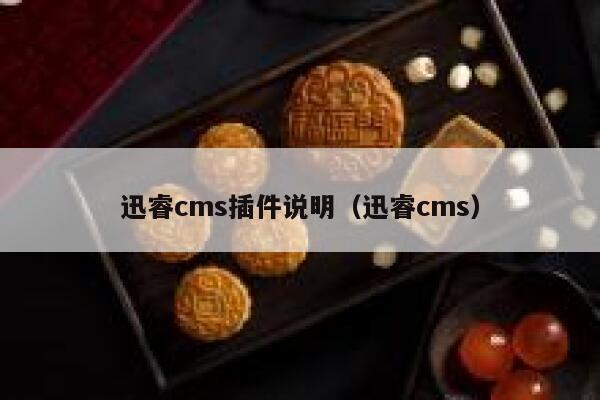 迅睿cms插件说明（迅睿cms）