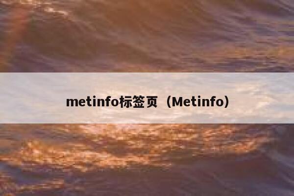 metinfo标签页（Metinfo）