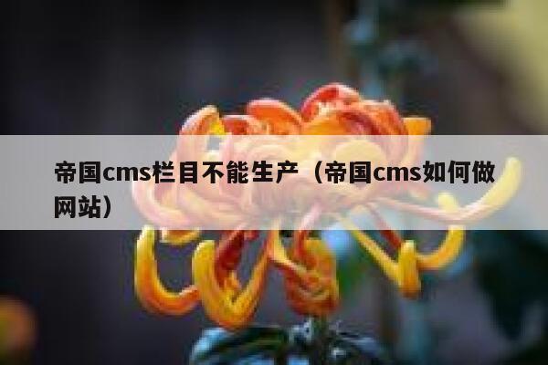 帝国cms栏目不能生产（帝国cms如何做网站）