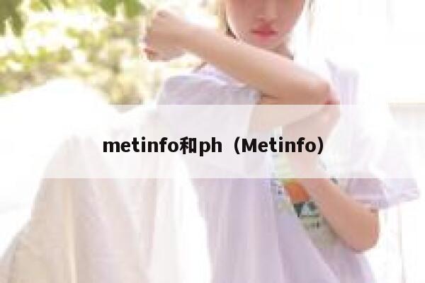 metinfo和ph（Metinfo）