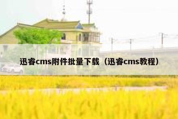 迅睿cms附件批量下载（迅睿cms教程）