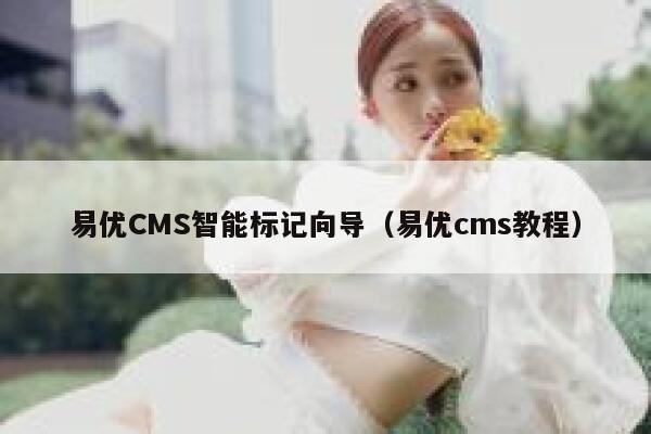 易优CMS智能标记向导（易优cms教程）