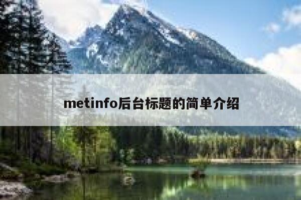 metinfo后台标题的简单介绍