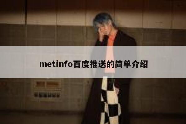 metinfo百度推送的简单介绍