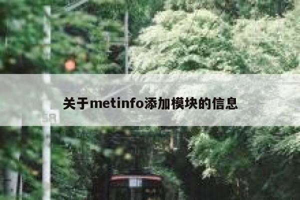 关于metinfo添加模块的信息