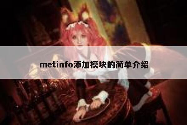 metinfo添加模块的简单介绍