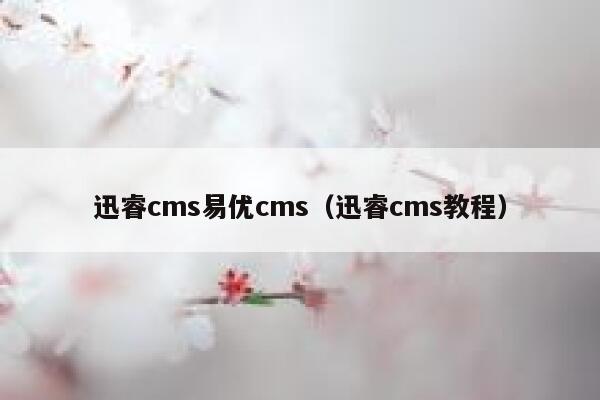 迅睿cms易优cms（迅睿cms教程）