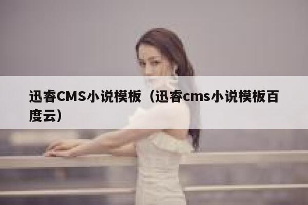 迅睿CMS小说模板（迅睿cms小说模板百度云）