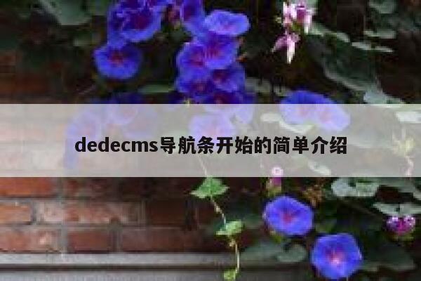 dedecms导航条开始的简单介绍