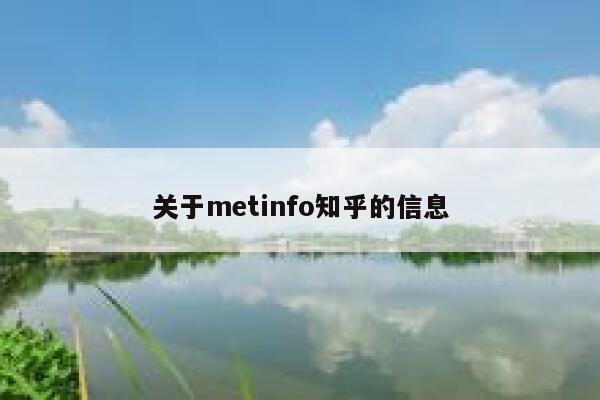 关于metinfo知乎的信息 第1张