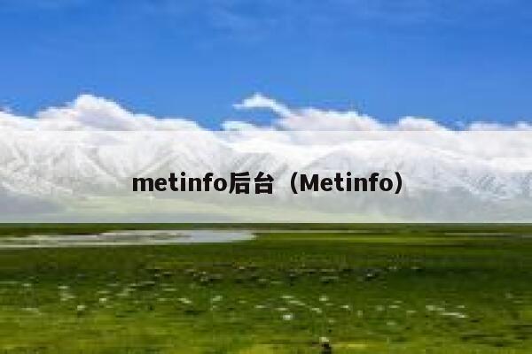 metinfo后台（Metinfo）