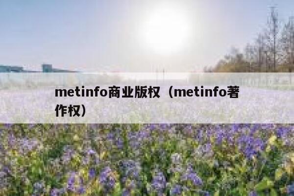 metinfo商业版权（metinfo著作权）