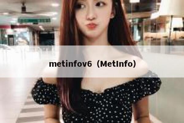 metinfov6（MetInfo）