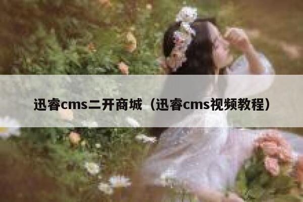 迅睿cms二开商城（迅睿cms视频教程）