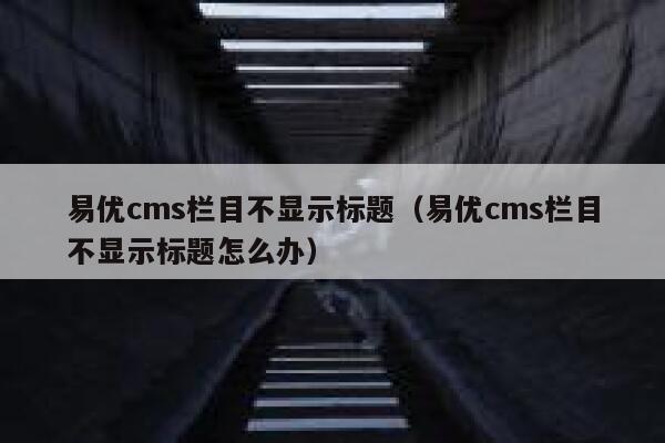 易优cms栏目不显示标题（易优cms栏目不显示标题怎么办）