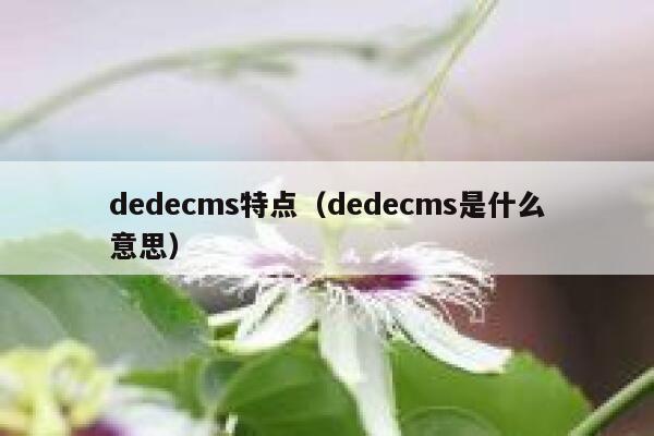 dedecms特点（dedecms是什么意思）