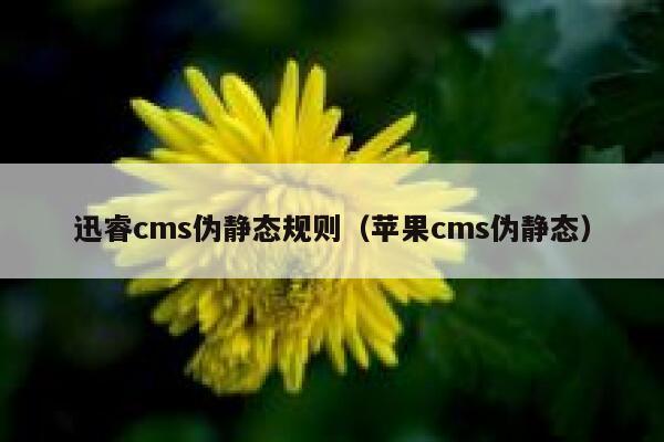 迅睿cms伪静态规则（苹果cms伪静态）